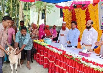 মাদারগঞ্জে ছাগল-ভেড়ার পিপিআর রোগ নির্মূলে টিকাদান কর্মসূচি শুরু।
