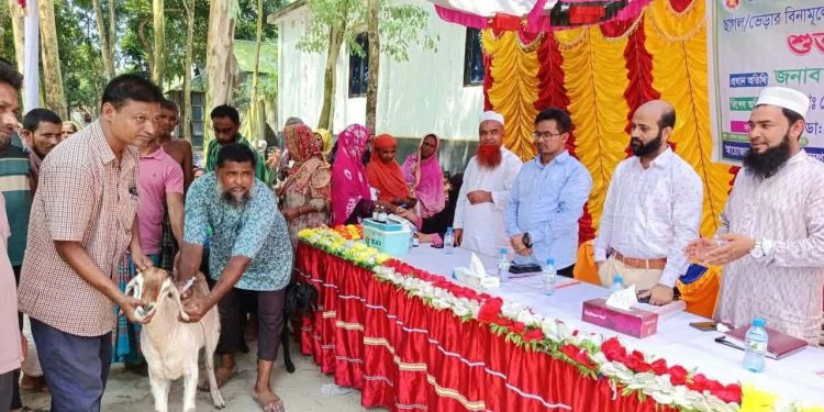 মাদারগঞ্জে ছাগল-ভেড়ার পিপিআর রোগ নির্মূলে টিকাদান কর্মসূচি শুরু।