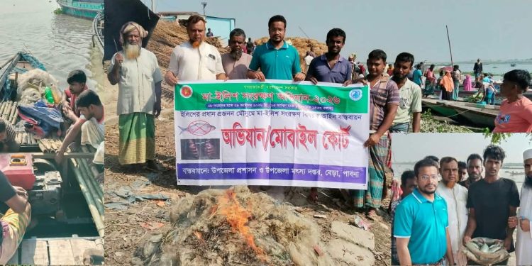নাকালিয়ায় যমুনা নদীতে মা-ইলিশ সংরক্ষণ অভিযান: অবৈধ জাল পুড়িয়ে ধ্বংস, মাছ এতিমখানায় হস্তান্তর।